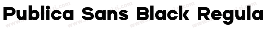 Publica Sans Black Regular字体转换